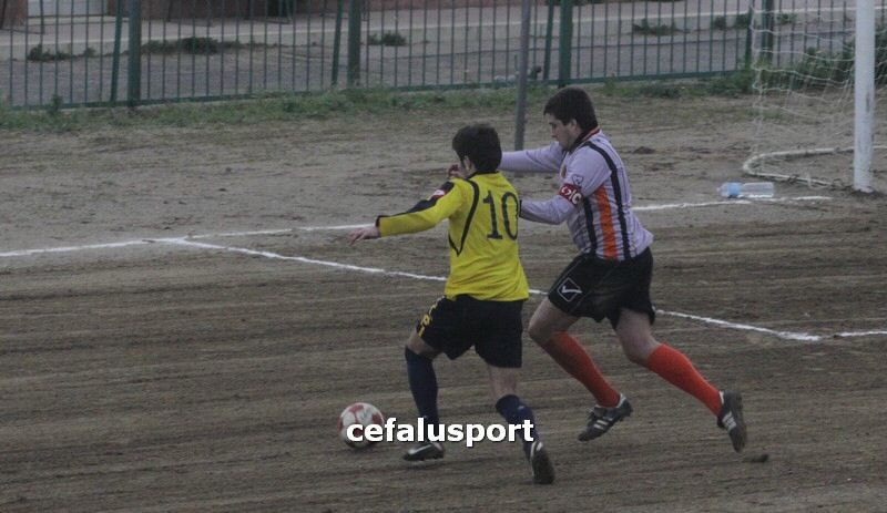 120310 stefanese 155y_tn.jpg